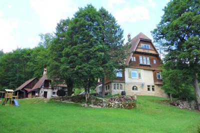 Historische Forstvilla mit gehobener Innenausstattung in Beuron