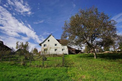 Ruheoase für Kreative und Naturfreunde - Grundstück inkl. genehmigte Pläne für den Bau eines EFH