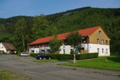 Gepflegte 2-Zimmer-Wohnung im Grünen mit Balkon und EBK in Goslar