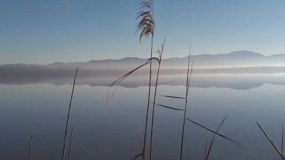 Wohnen und Arbeiten in wunderschöner Umgebung