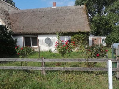 RÜGEN ! 1900 m² Grundstück am Schaproder Bodden bebaut mit sanierungsfähigem Reetdach-Altbau! Neuer