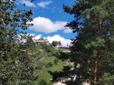 Spitzhausblick - wunderschöne Villa mit Garten auf der Weinbergstraße