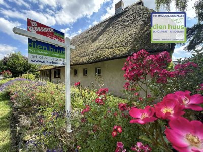 Traum unter Reet direkt an der Ostsee