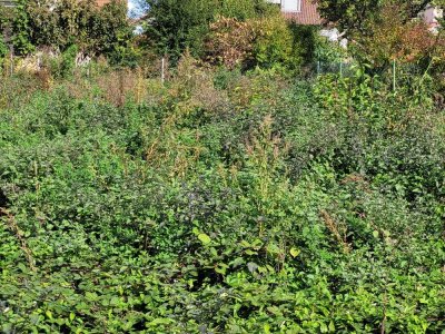 Bestpreisgarantie bei Bien-Zenker - Hier könnte Ihr indiviudell geplantes Bien-Zenker-Haus stehen