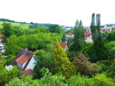 Wunderschöne 2-Zi.-Wohnung in Uninähe mit herrlicher Aussicht!