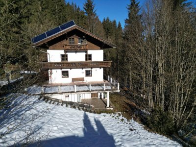 4.699m2 Grundstück mit Altbestand in Waldlichtung