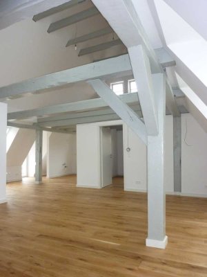 Energetisch sanierte 3-Zi-102 m²-DG-Wohnung mit 65 m² Dachterrasse und 2 Galerien