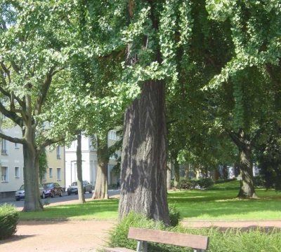 +++ KUSCHELIGES APPARTMENT MITTEN IN DER STADT +++