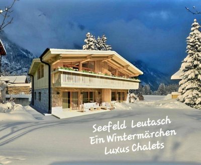 Luxus Chalet DHH