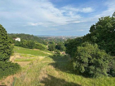 Wunderschöne Eigentumswohnung mit Blick über Radebeul bis nach Dresden am Paradiesberg