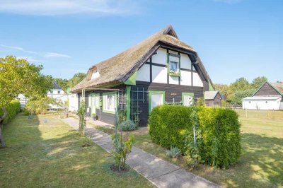 Schilfrohrgecktes Holzhaus auf großem Grundstück