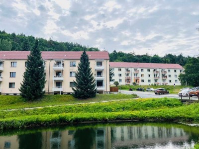 Frisch renoviert!  3-R-Wohnung mit Balkon in ruhiger Wohnlage