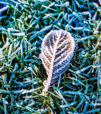 Ein frostiges Märchen mit einem warmen Kern: Willkommen daheim