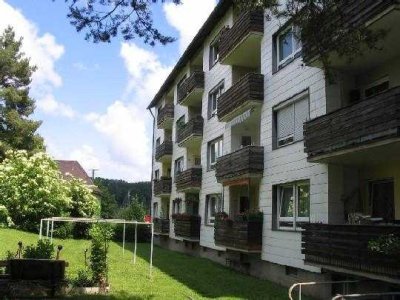 Renovierte 2 -  Zimmer Wohnung mit Balkon in Uninähe!