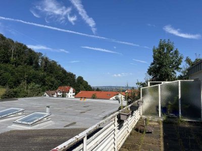 Traumhafte Terrassenwohnung mit Panoramablick in Ruhiger Lage von Bad Harzburg