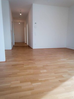 Anlegerwohnung! Vermietete Penthouse-Wohnung in neuerbautem Wohnhaus!