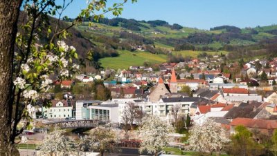 2-Zimmer Gartenwohnung mit Terrasse und einem Kachelofen - Koffer packen und einziehen!!!