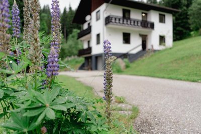 Leben in Alleinlage hoch über Deutsch-Griffen auf 1.118 Meter-Seehöhe + traumhafter Karawankenblick