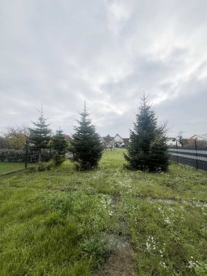 Geräumiges 2-Parteienhaus in ruhiger Lage mit viel Stauraum, großem Hof, Carport, Scheune und Garten