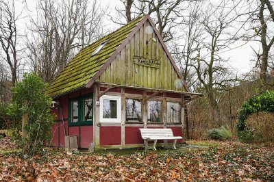 Charmantes Wochenendhäuschen in ruhiger Waldlage – Ein naturnaher Rückzugsort