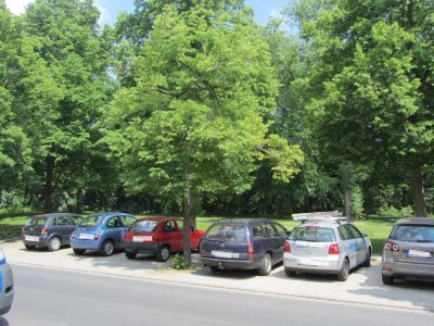 Östl. Ringgebiet - saniert - Altbau - Balkon - direkt am Park