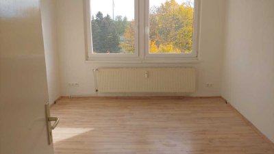 Helle 3-Zimmer-Wohnung in Gerdshagen