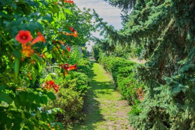 Kleiner Wohnbungalow mit Riesen-Garten am Rand des Dautzsch in Halle