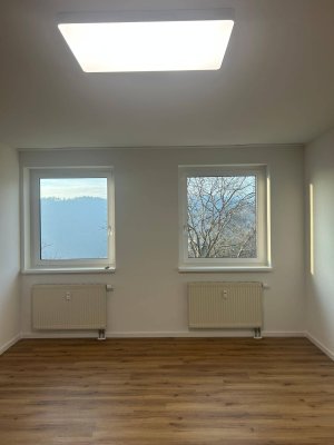 Wohnung ca. 52m² + Kellerabteil und Parkplatz, komplett saniert, zu vermieten - Bad und Küche NEU