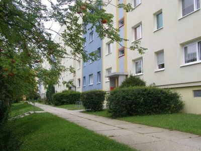 Gemütliches Appartement im Grünen