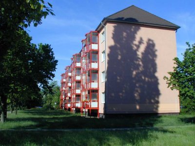 Schöne sanierte 3-Raum-Wohnung mit Balkon