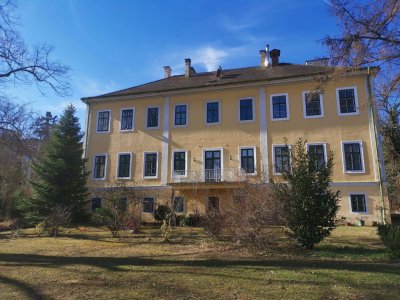 Wohnung beim Thermalbad Bad Vöslau PROVISIONSFREI