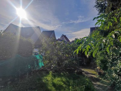 Großes Familienhaus mit Hof und Garten im Ortskern von Haßloch