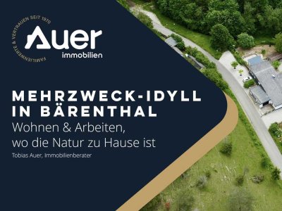 Mehrzweck-Idyll in Bärenthal - Wohnen & Arbeiten, wo die Natur zu Hause ist