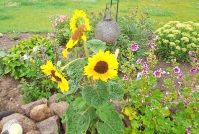 HERBSTANGEBOT!!! - IHR TRAUMHAUS AUS NATURBAUSTOFFEN AM RANDE DER STADT!