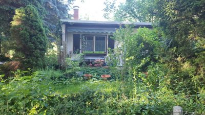 Ansprechendes 1-Zimmer-Haus in 06773, Gräfenhainichen OT Tornau Bungalowsiedlung Nähe Bad Dueben.