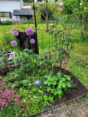 Charmante 1-Zimmer-Terrassenwohnung mit traumhafter Aussicht