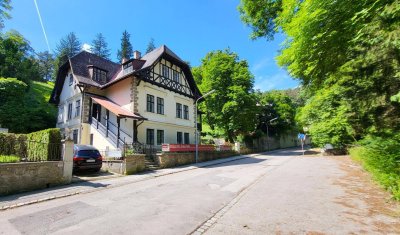 Außergewöhnliche Villa in absolut ruhiger Waldrandlage I Rund um Natur pur nahe Lainzer Tiergarten I Ausbauen+sanieren