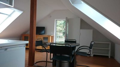 Schönes, helles Apartment (Mansarde, voll möbliert). Ab März