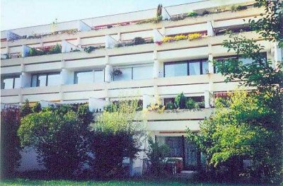 Gemütliches 1-Zimmer-Apartment mit Terrasse