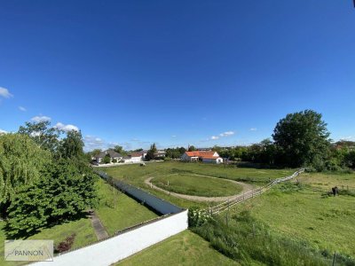 Gols - geräumige Wohnung mit Weitblick in Ruhelage