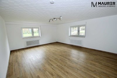 Frisch renovierte & großzügige 2-Zimmer Souterrainwohnung Denzlingen * mit Einbauküche & Stellplatz