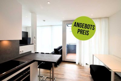 Möblierte 1 Zimmer Wohnung, mit Schreibtisch, Balkon - zentral in Offenbach ab März 2025