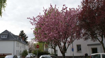 Moderne Dachgeschosswohnung mit toller Raumatmosphäre in ruhiger Citylage