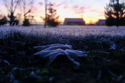 Ein Traumhaus, an dem Liebe zur Natur und Eleganz aufeinandertreffen - Freie Sonderplanung