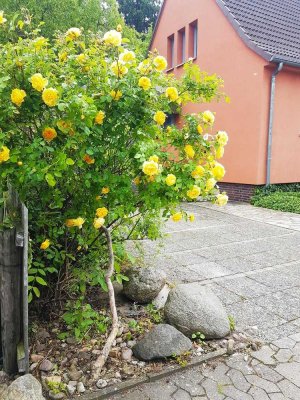 RESERVIERT!!! Stadtnah! Gemütliche Doppelhaushälfte mit großem naturbelassenen Garten