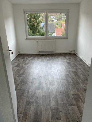 Frisch renovierte 3-Zimmer Wohnung im 3.OG