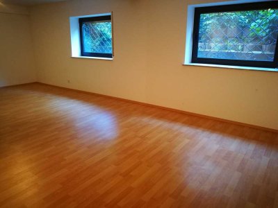 Modernisierte, Teilmöblierte 1-Zimmer-Einliegerwohnung mit neue Einbauküche in Ettlingen