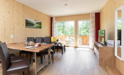 TOP 1 - APARTMENT MIT SEHR GUTER WINTER UND SOMMER SAISON!