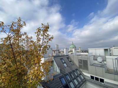 Großzügig residieren auf 400 m² Dachgeschoß-Refugium im herrschaftlichen Palais - zu kaufen in 1040 Wien