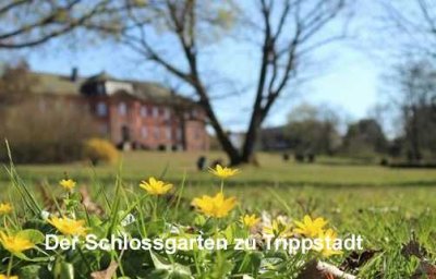 Stilvolles Wohnen muss nicht teuer sein! Erdgeschosswohnung mit tollem Ausblick zu verkaufen!